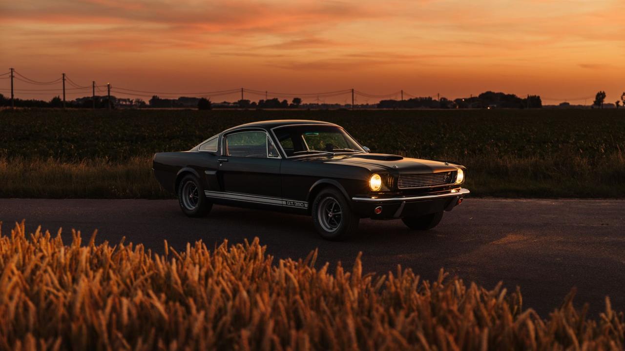 1966 Shelby GT350 Fastback