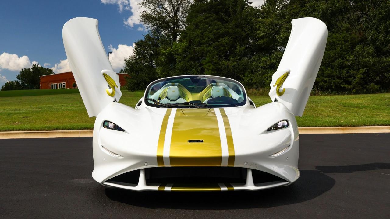 2021 Mclaren Elva