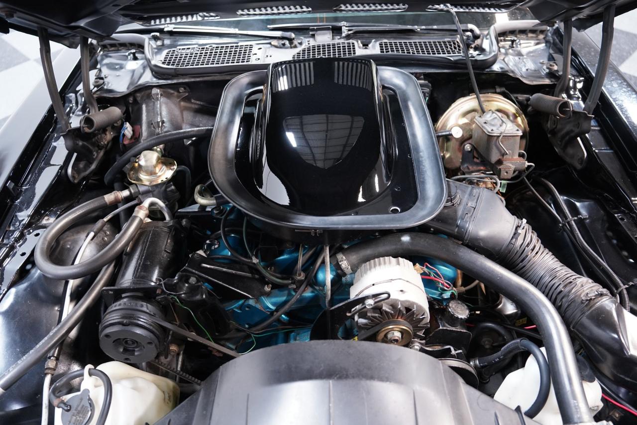 1976 Pontiac Firebird Trans Am 455