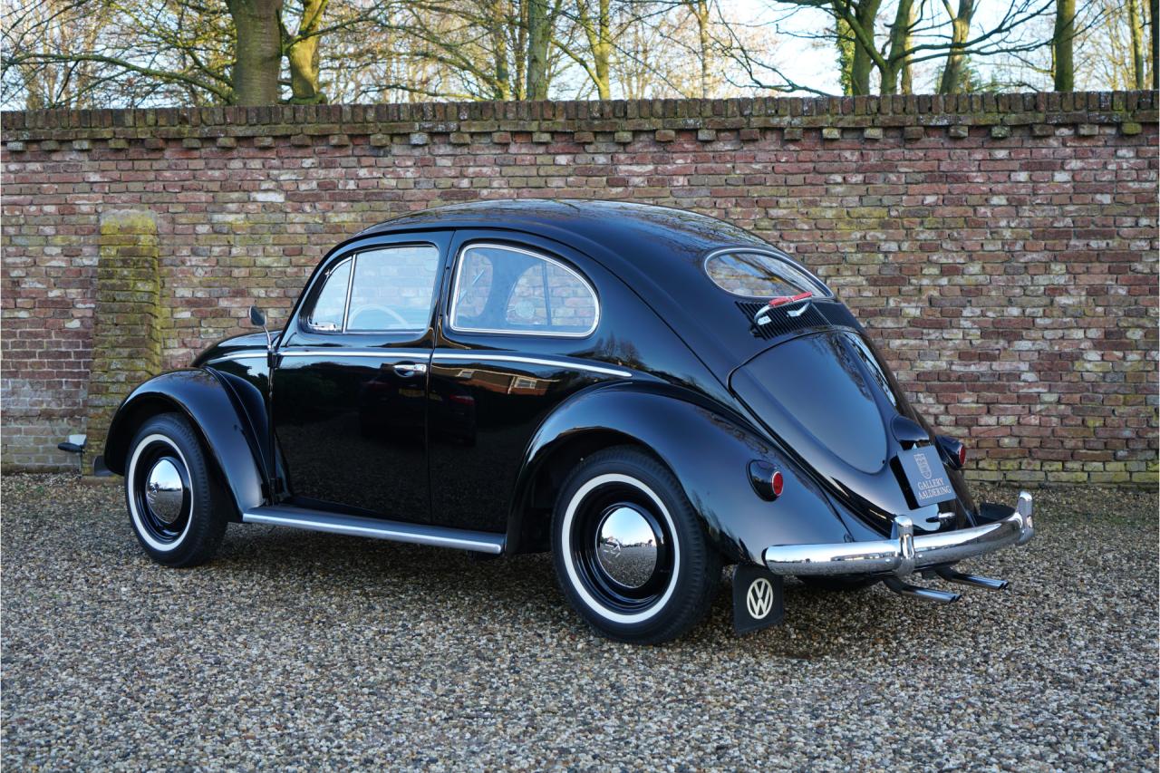 1955 Volkswagen Beetle Oval-Window &ldquo;Restored to its original purity&rdquo;