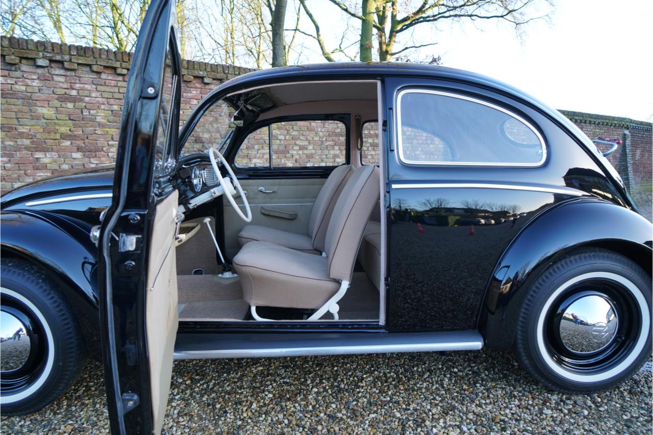 1955 Volkswagen Beetle Oval-Window &ldquo;Restored to its original purity&rdquo;