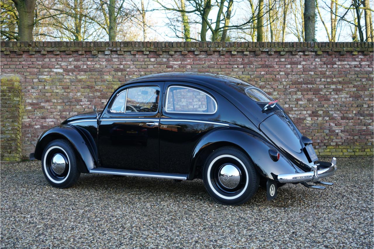 1955 Volkswagen Beetle Oval-Window &ldquo;Restored to its original purity&rdquo;