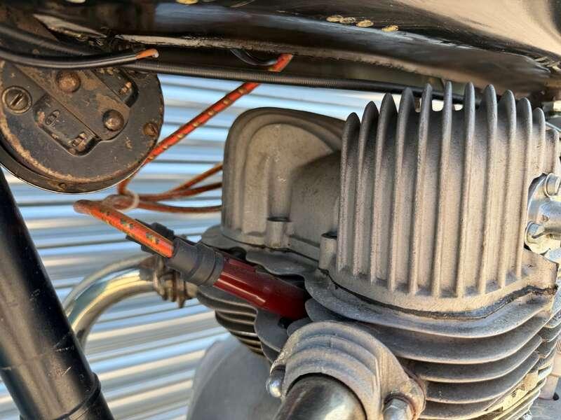 1957 BERNEG FARIO 175