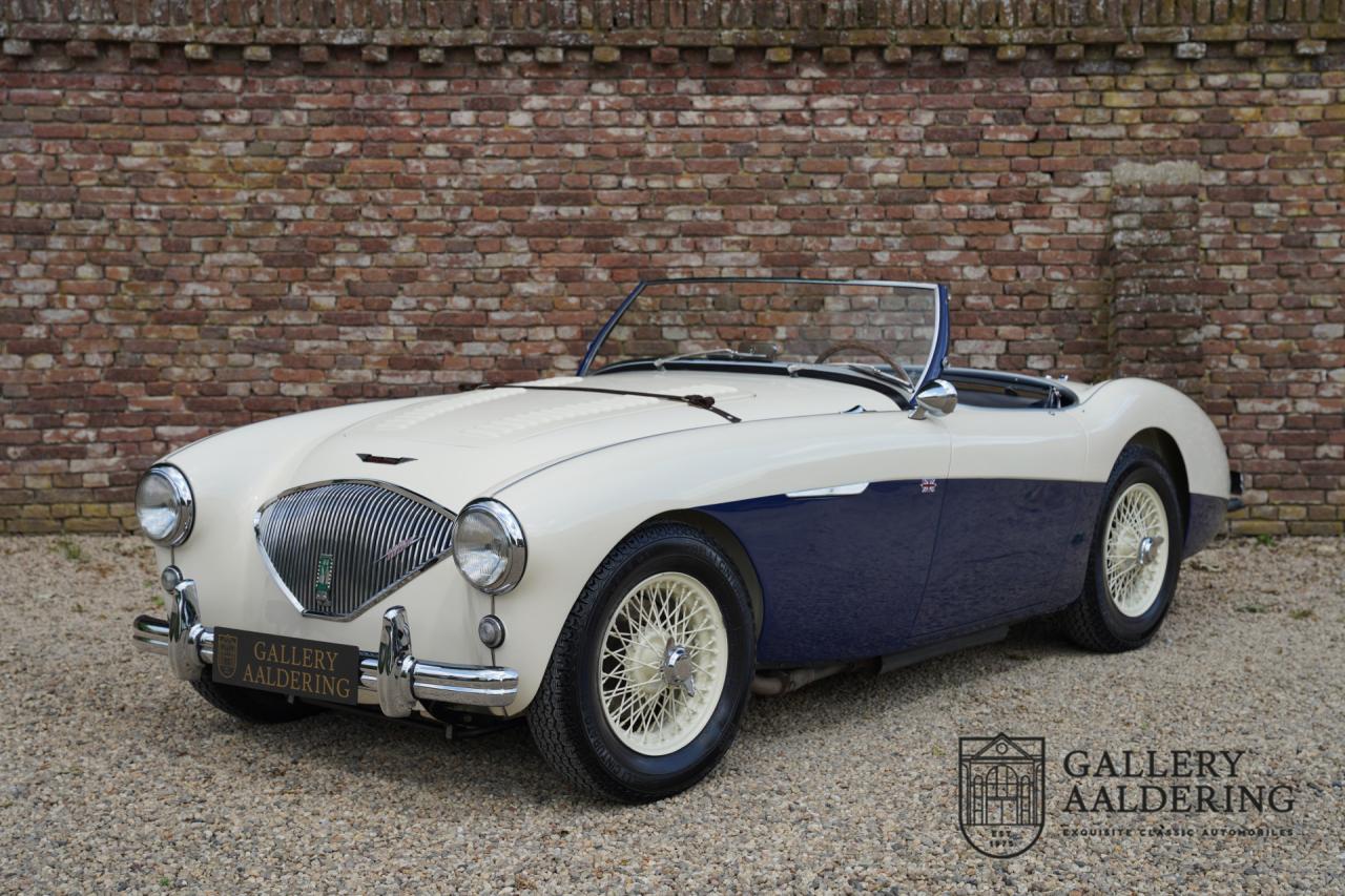 1954 Austin - Healey to 100M Specs &ldquo;Listed in 100M Le Mans Registry&rdquo;