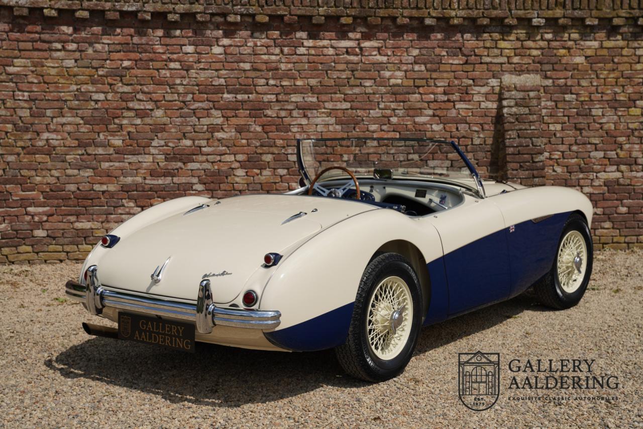 1954 Austin - Healey to 100M Specs &ldquo;Listed in 100M Le Mans Registry&rdquo;