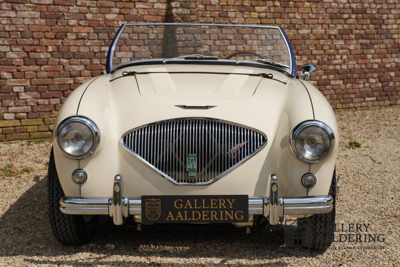 1954 Austin - Healey to 100M Specs &ldquo;Listed in 100M Le Mans Registry&rdquo;