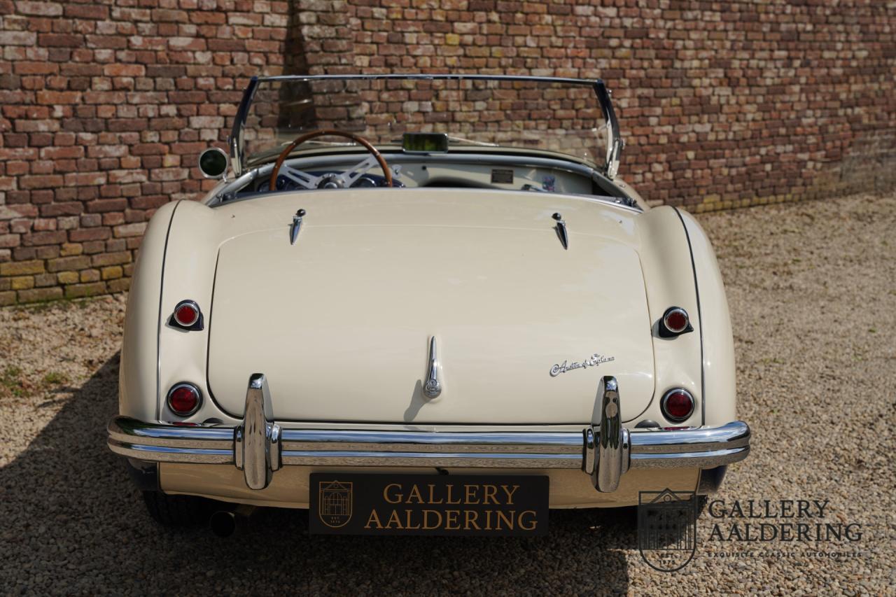 1954 Austin - Healey to 100M Specs &ldquo;Listed in 100M Le Mans Registry&rdquo;