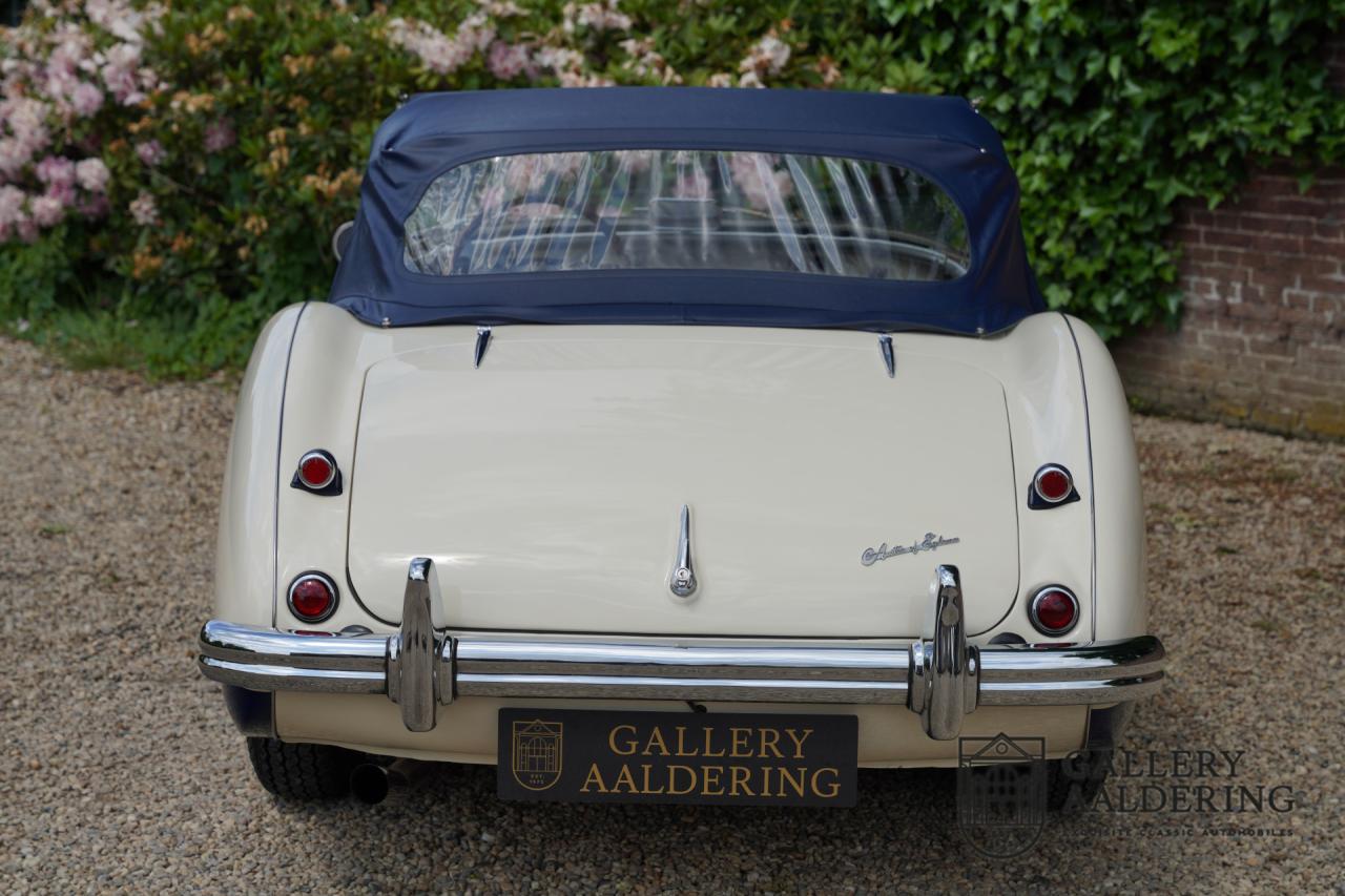 1954 Austin - Healey to 100M Specs &ldquo;Listed in 100M Le Mans Registry&rdquo;
