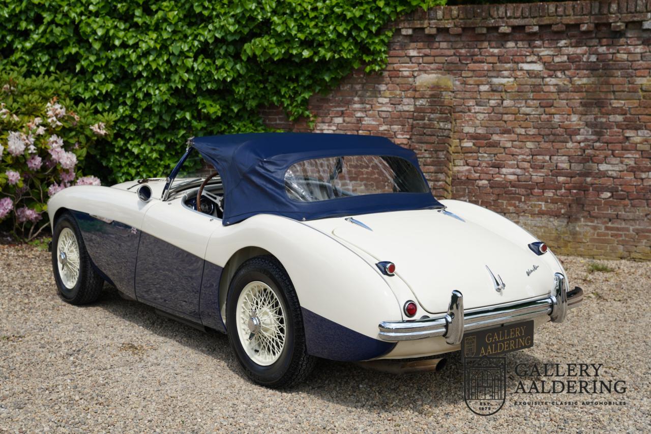 1954 Austin - Healey to 100M Specs &ldquo;Listed in 100M Le Mans Registry&rdquo;