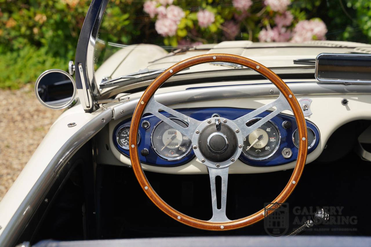 1954 Austin - Healey to 100M Specs &ldquo;Listed in 100M Le Mans Registry&rdquo;