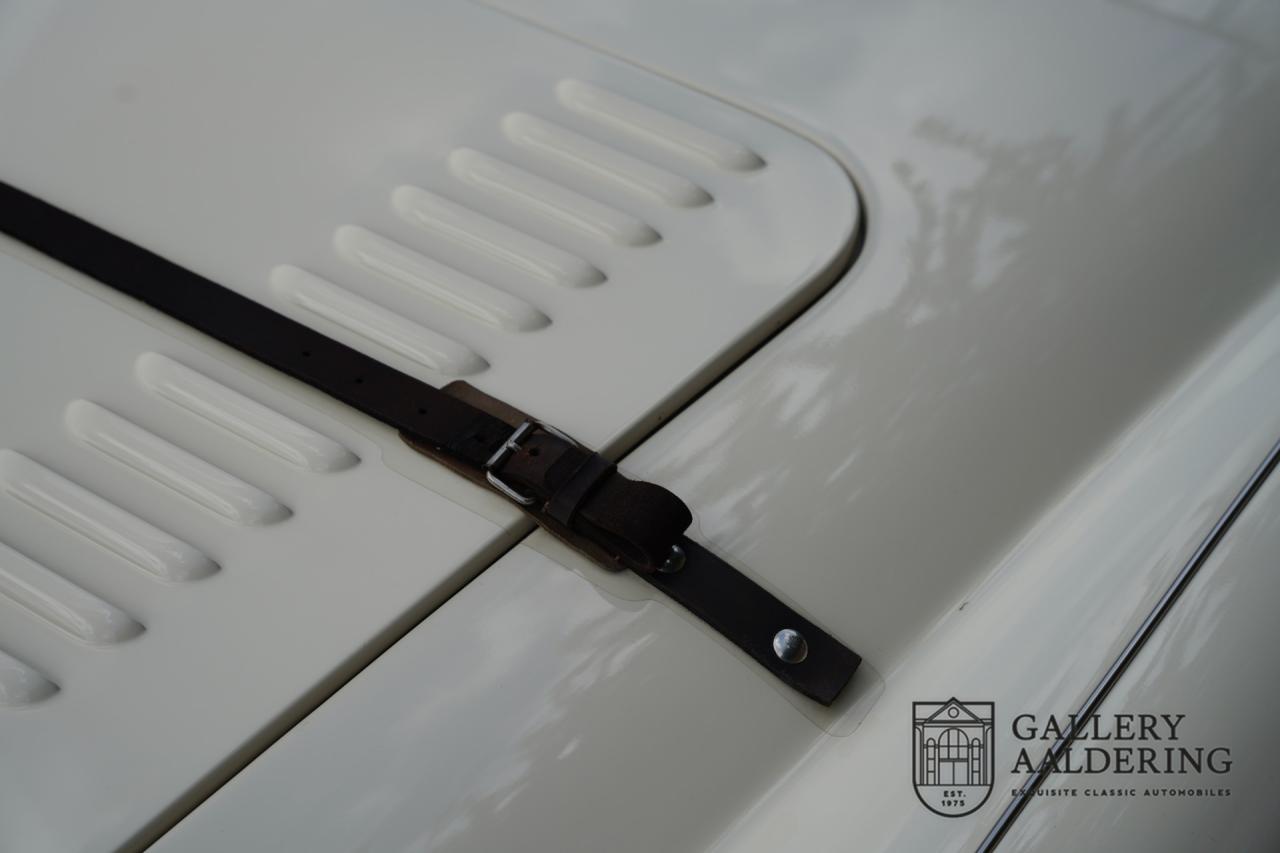 1954 Austin - Healey to 100M Specs &ldquo;Listed in 100M Le Mans Registry&rdquo;