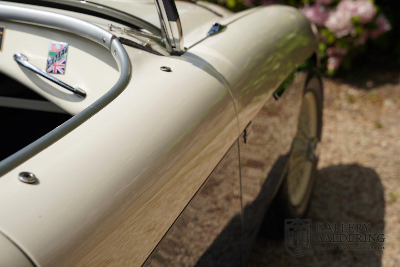 1954 Austin - Healey to 100M Specs &ldquo;Listed in 100M Le Mans Registry&rdquo;