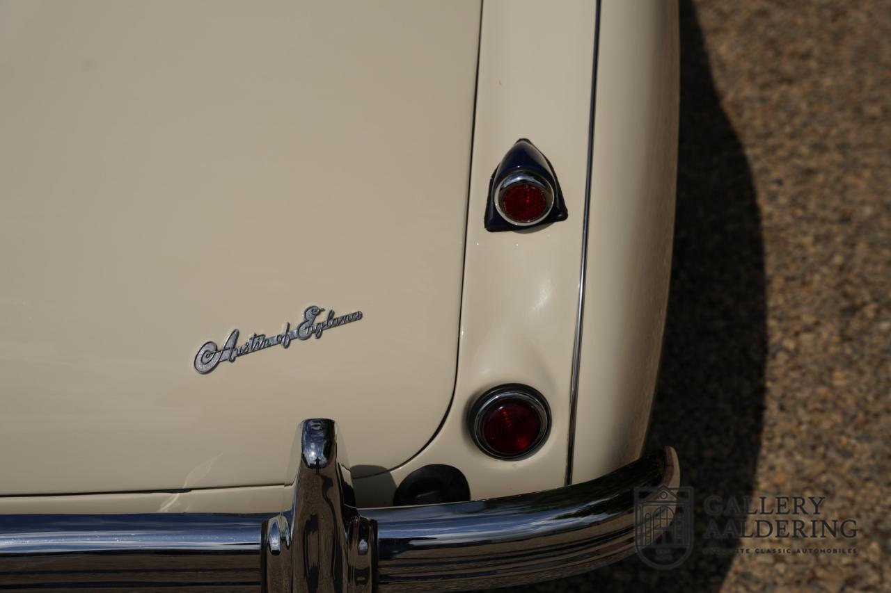1954 Austin - Healey to 100M Specs &ldquo;Listed in 100M Le Mans Registry&rdquo;
