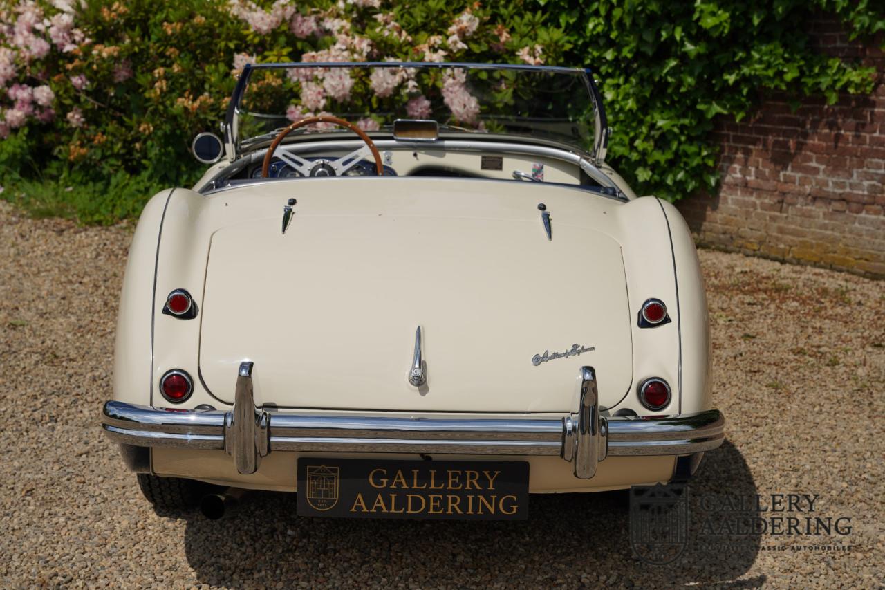 1954 Austin - Healey to 100M Specs &ldquo;Listed in 100M Le Mans Registry&rdquo;
