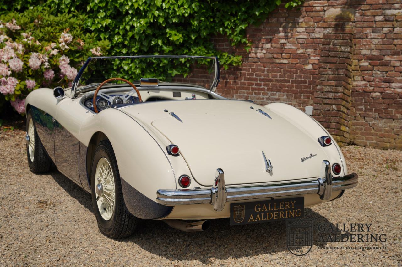 1954 Austin - Healey to 100M Specs &ldquo;Listed in 100M Le Mans Registry&rdquo;