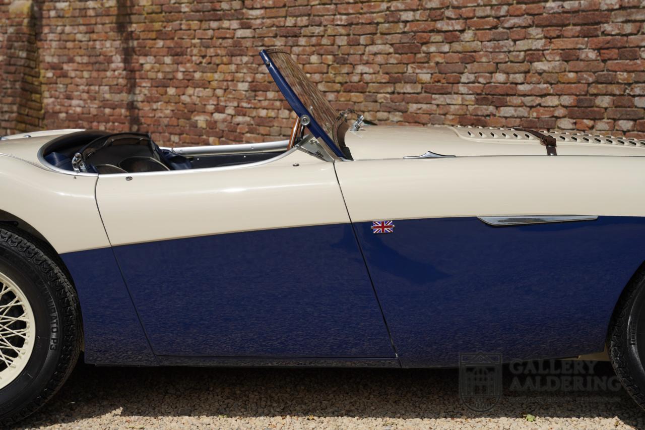 1954 Austin - Healey to 100M Specs &ldquo;Listed in 100M Le Mans Registry&rdquo;