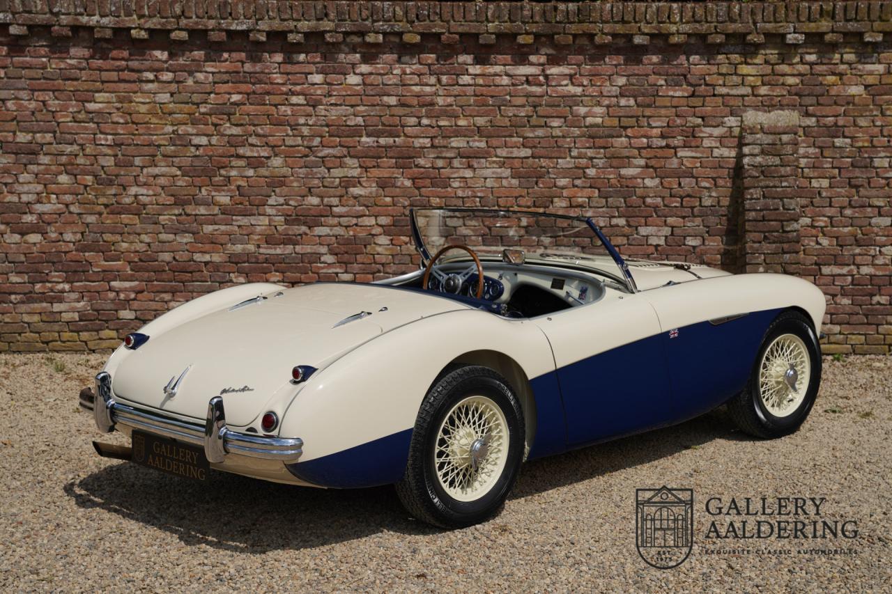 1954 Austin - Healey to 100M Specs &ldquo;Listed in 100M Le Mans Registry&rdquo;