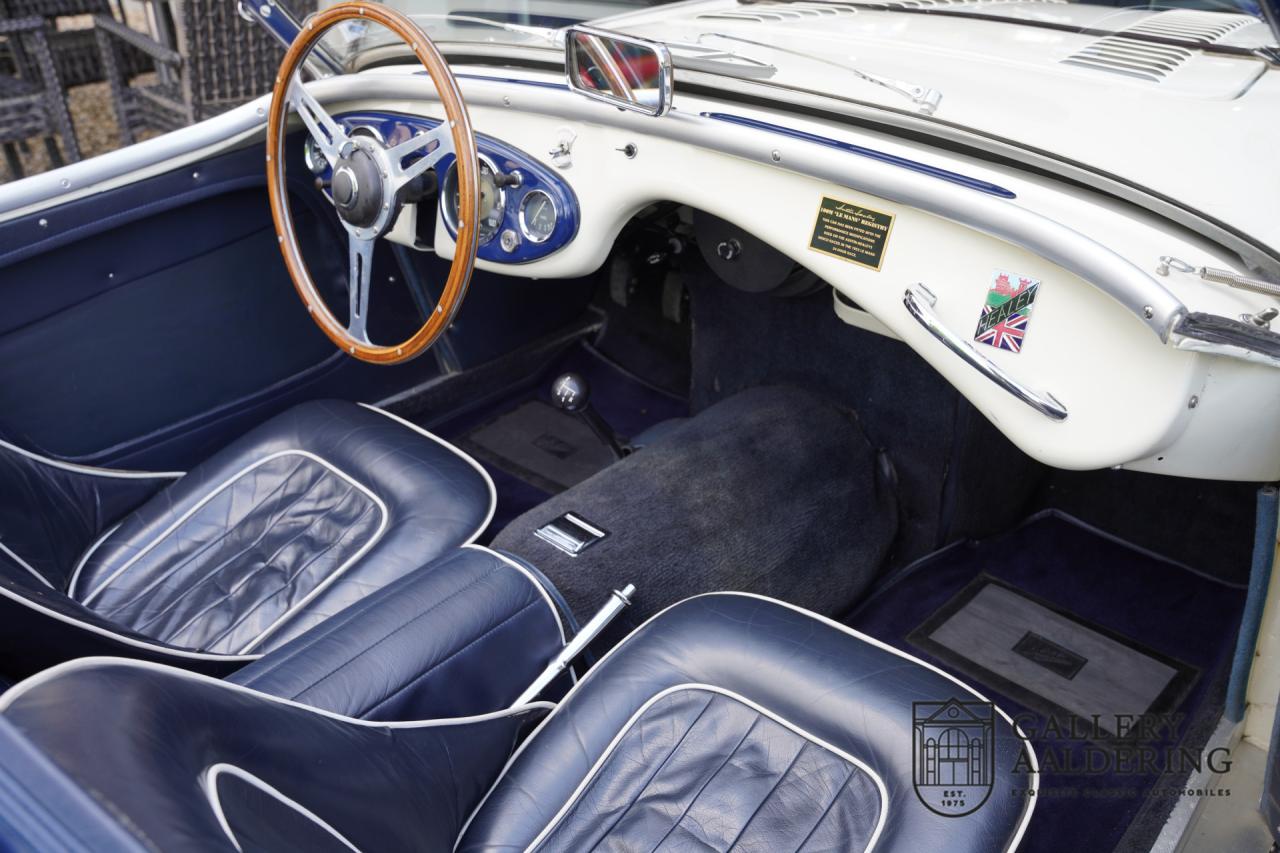 1954 Austin - Healey to 100M Specs &ldquo;Listed in 100M Le Mans Registry&rdquo;
