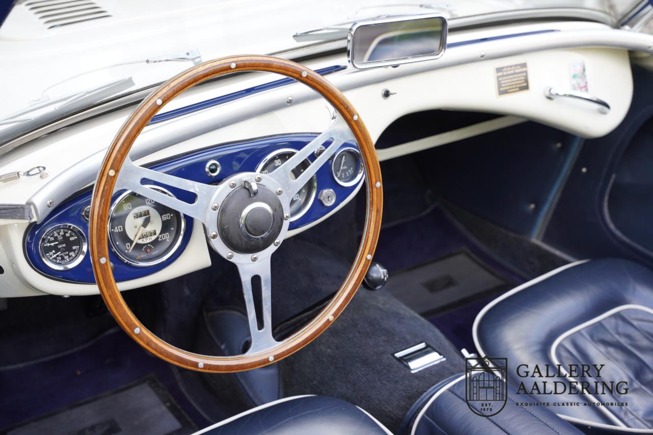 1954 Austin - Healey to 100M Specs &ldquo;Listed in 100M Le Mans Registry&rdquo;