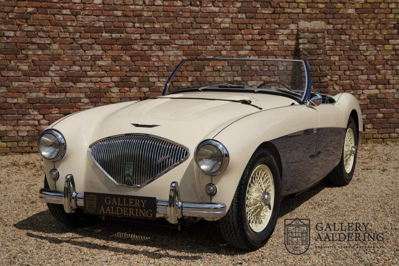 1954 Austin - Healey to 100M Specs &ldquo;Listed in 100M Le Mans Registry&rdquo;