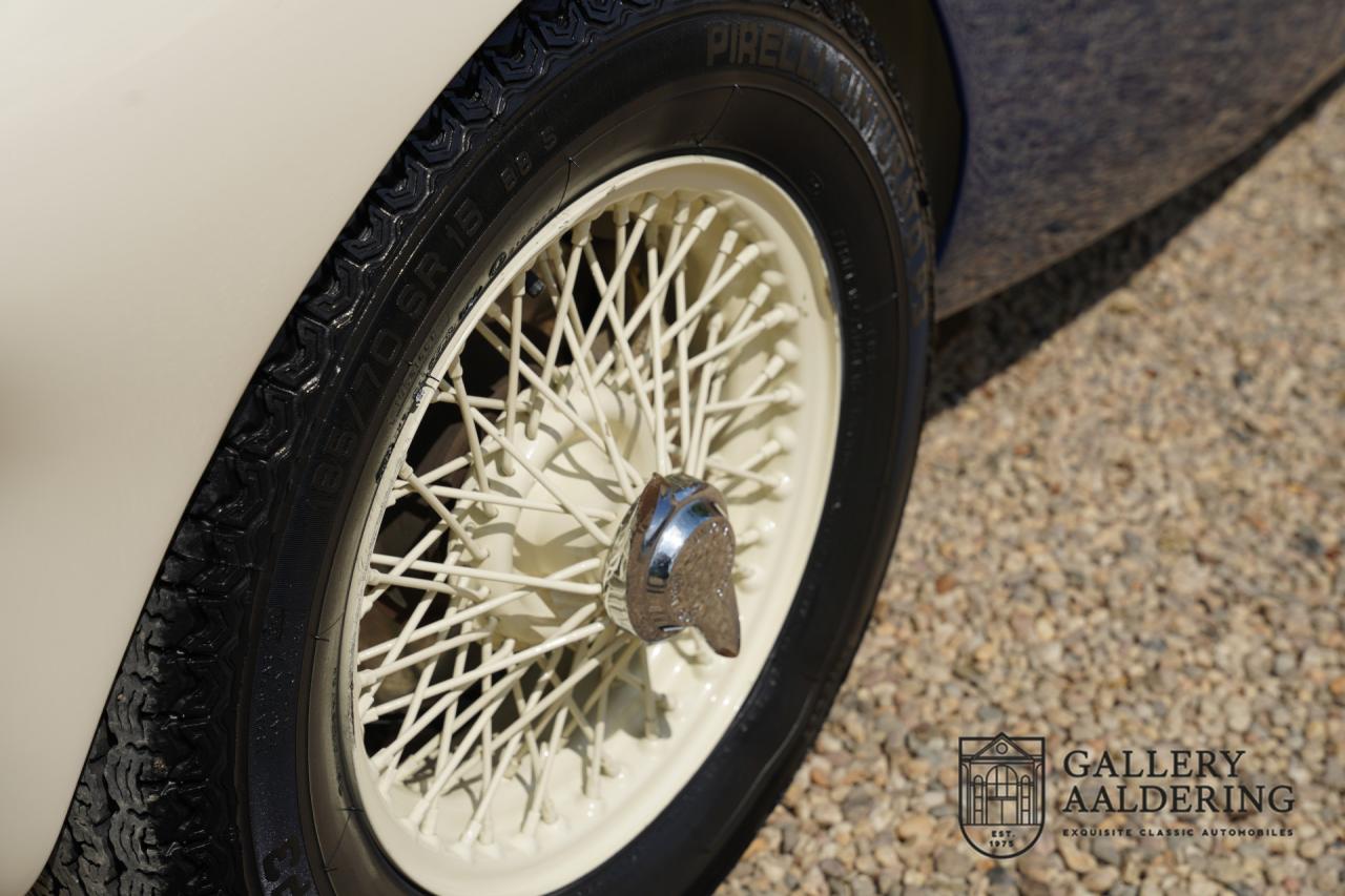 1954 Austin - Healey to 100M Specs &ldquo;Listed in 100M Le Mans Registry&rdquo;