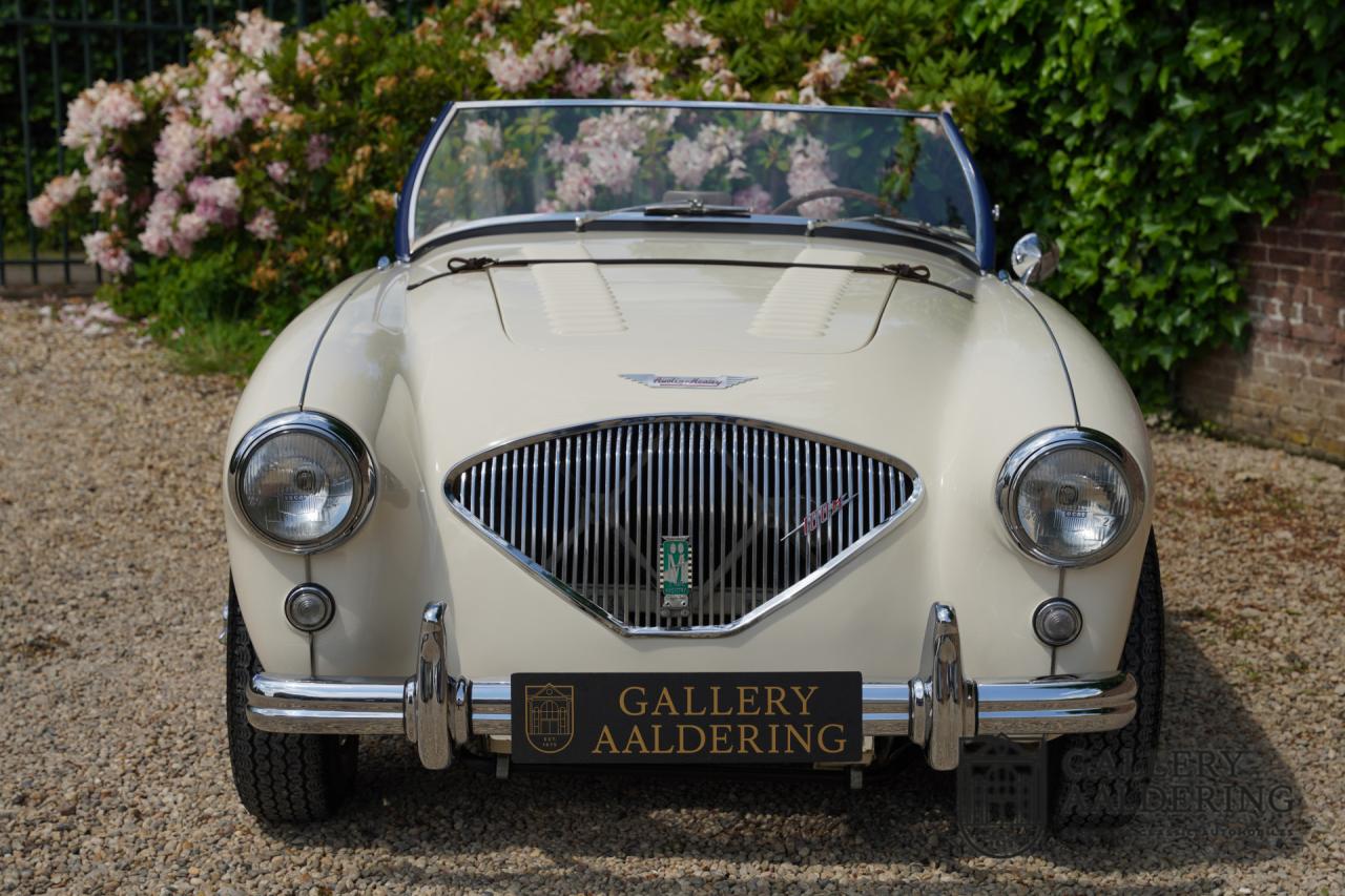 1954 Austin - Healey to 100M Specs &ldquo;Listed in 100M Le Mans Registry&rdquo;