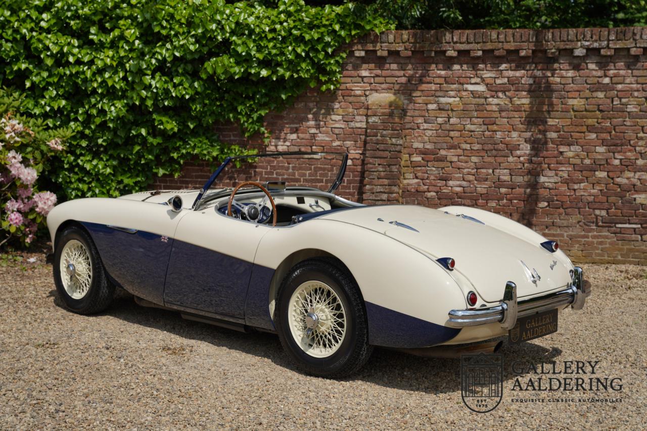 1954 Austin - Healey to 100M Specs &ldquo;Listed in 100M Le Mans Registry&rdquo;