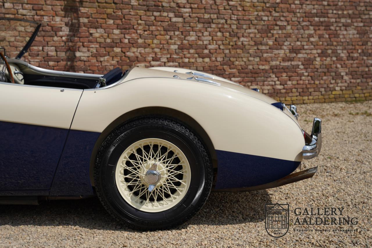 1954 Austin - Healey to 100M Specs &ldquo;Listed in 100M Le Mans Registry&rdquo;