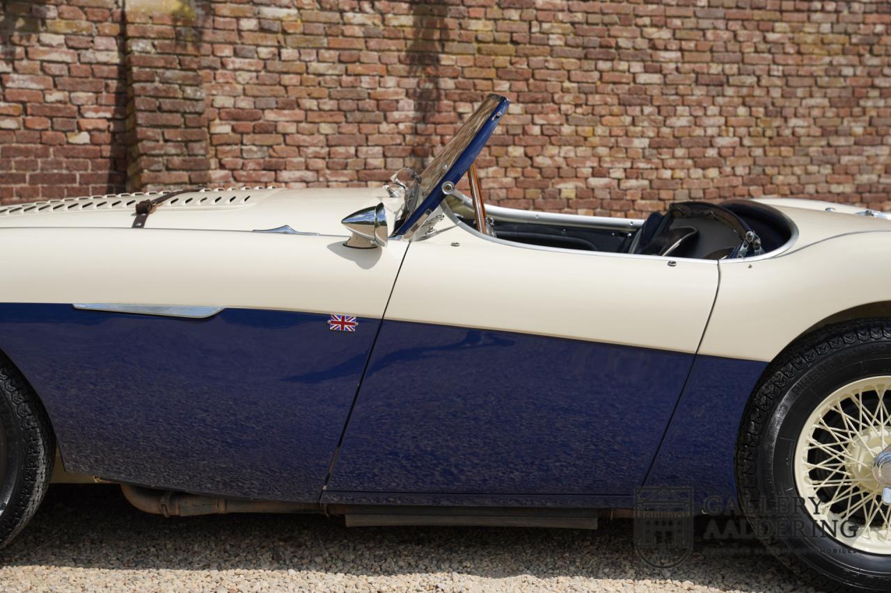 1954 Austin - Healey to 100M Specs &ldquo;Listed in 100M Le Mans Registry&rdquo;