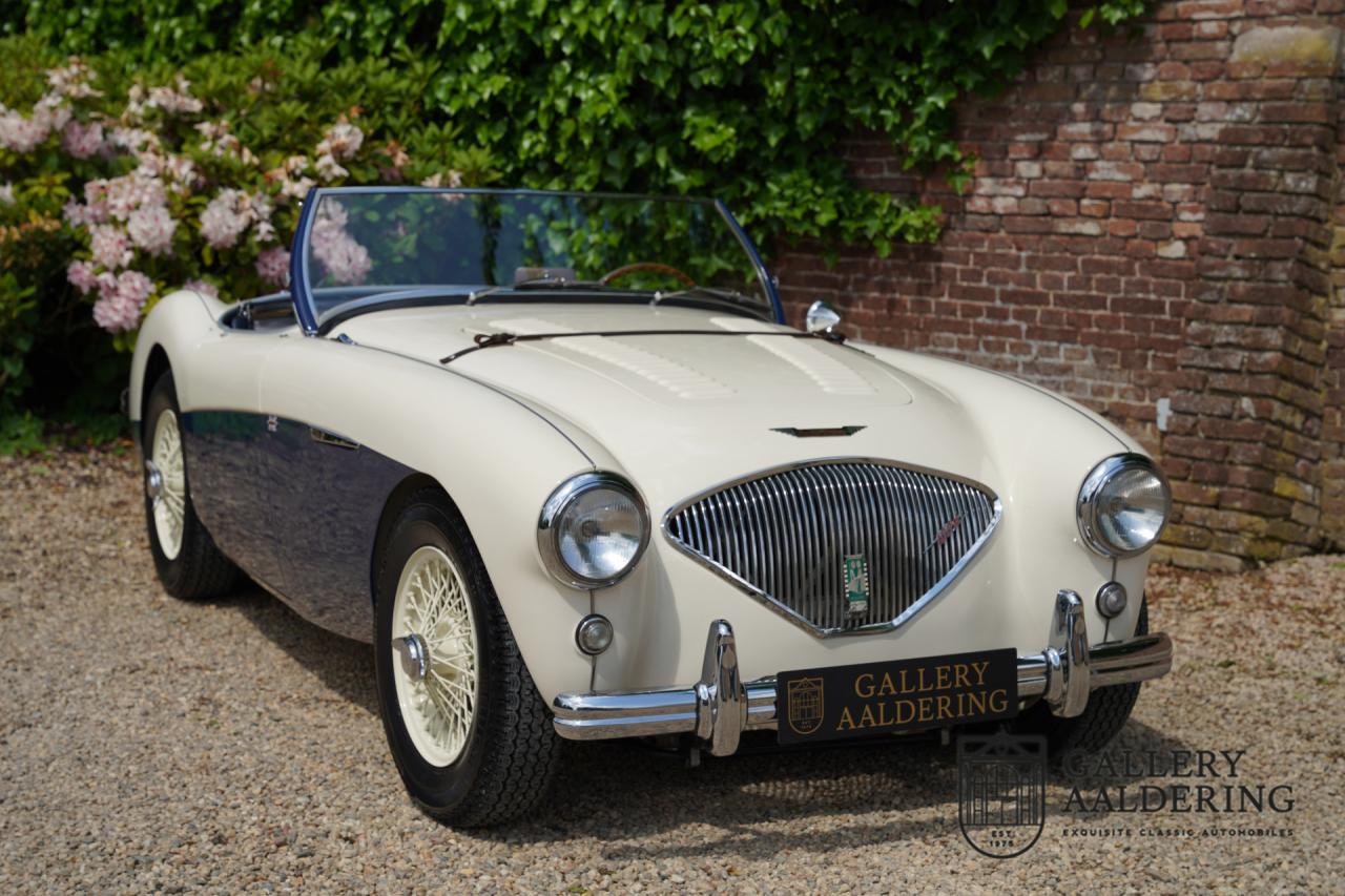 1954 Austin - Healey to 100M Specs &ldquo;Listed in 100M Le Mans Registry&rdquo;