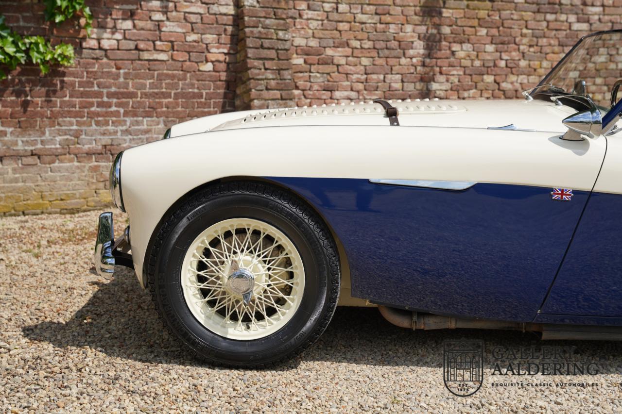 1954 Austin - Healey to 100M Specs &ldquo;Listed in 100M Le Mans Registry&rdquo;