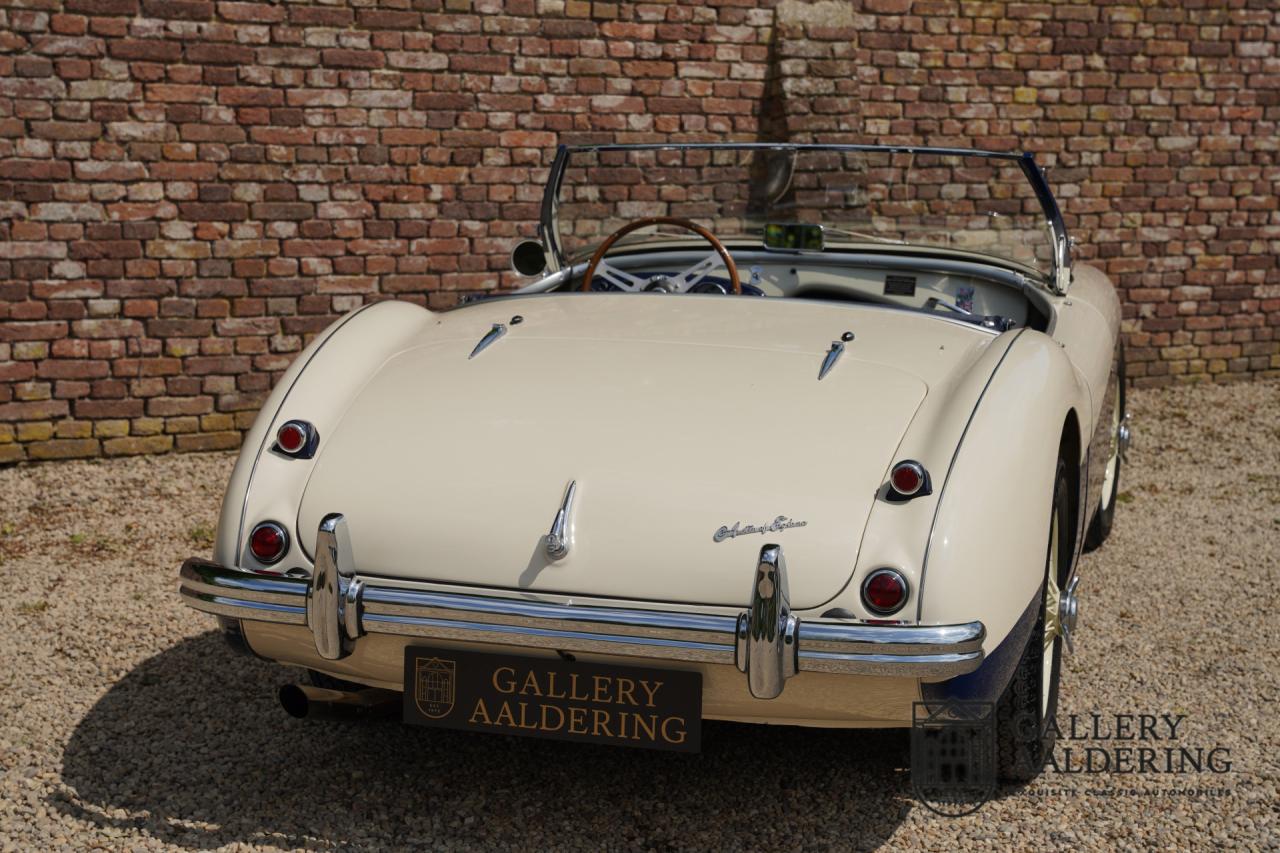 1954 Austin - Healey to 100M Specs &ldquo;Listed in 100M Le Mans Registry&rdquo;