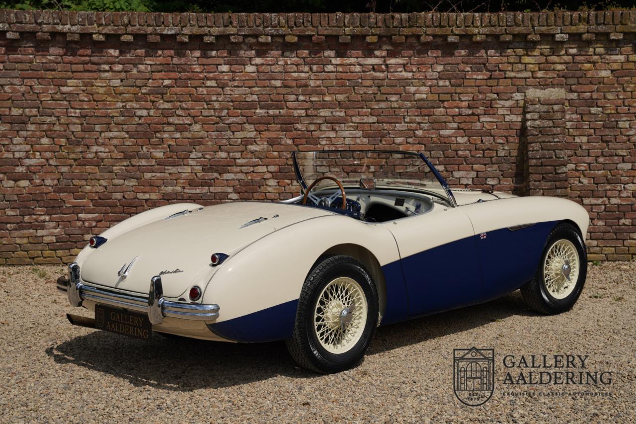 1954 Austin - Healey to 100M Specs &ldquo;Listed in 100M Le Mans Registry&rdquo;