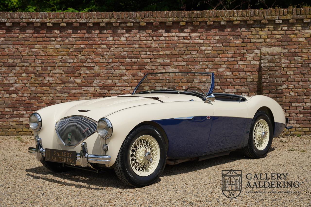 1954 Austin - Healey to 100M Specs &ldquo;Listed in 100M Le Mans Registry&rdquo;