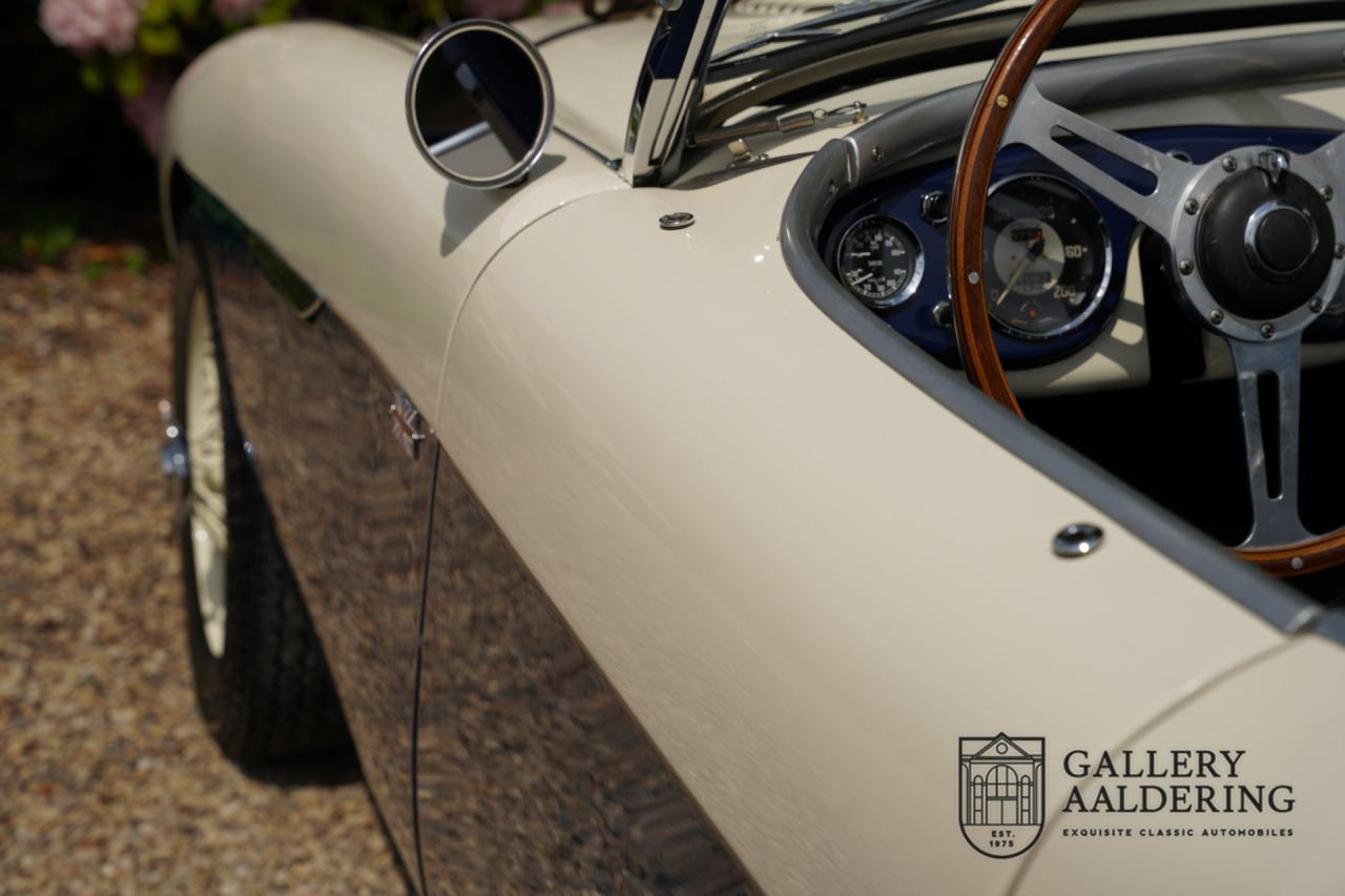 1954 Austin - Healey to 100M Specs &ldquo;Listed in 100M Le Mans Registry&rdquo;