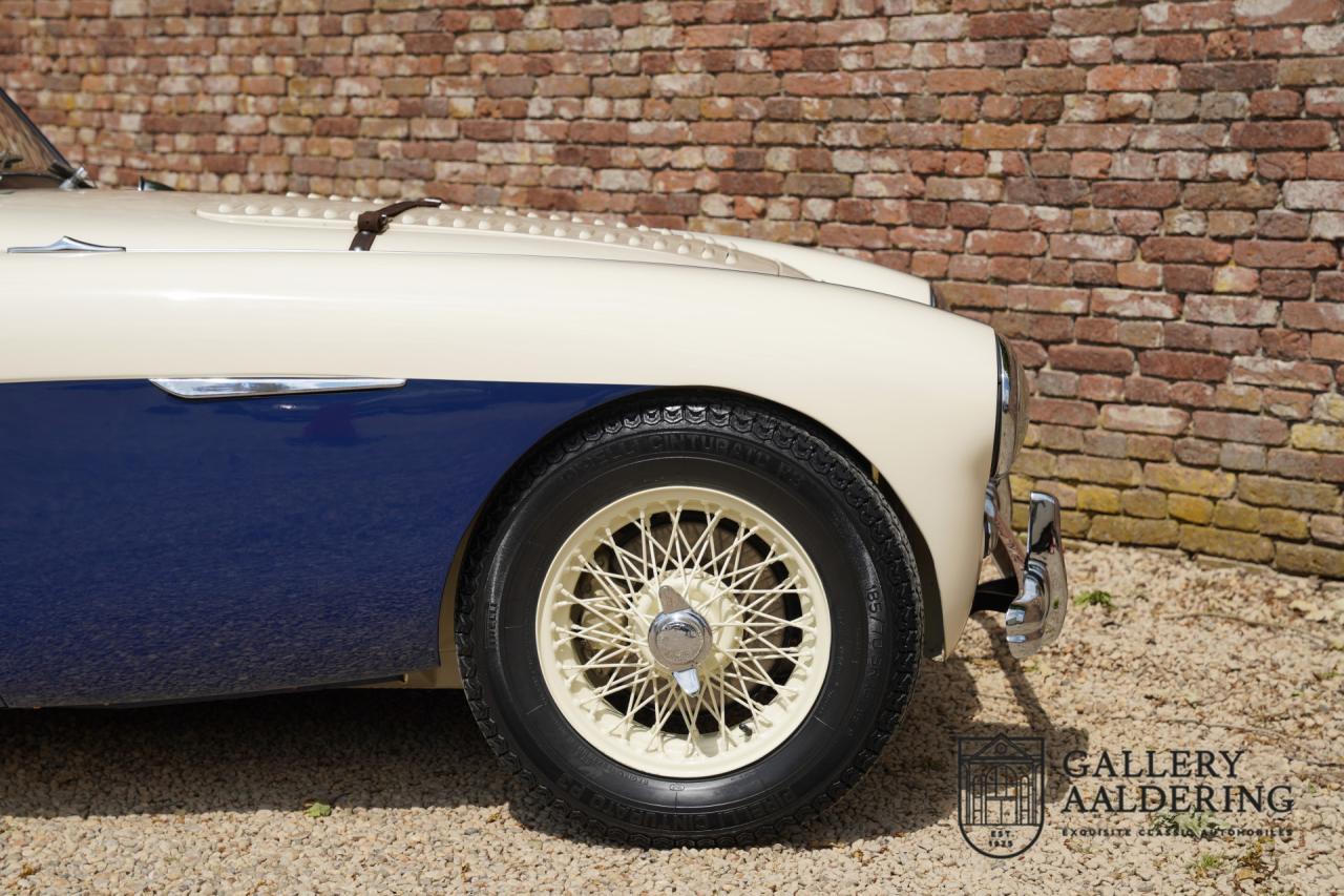 1954 Austin - Healey to 100M Specs &ldquo;Listed in 100M Le Mans Registry&rdquo;