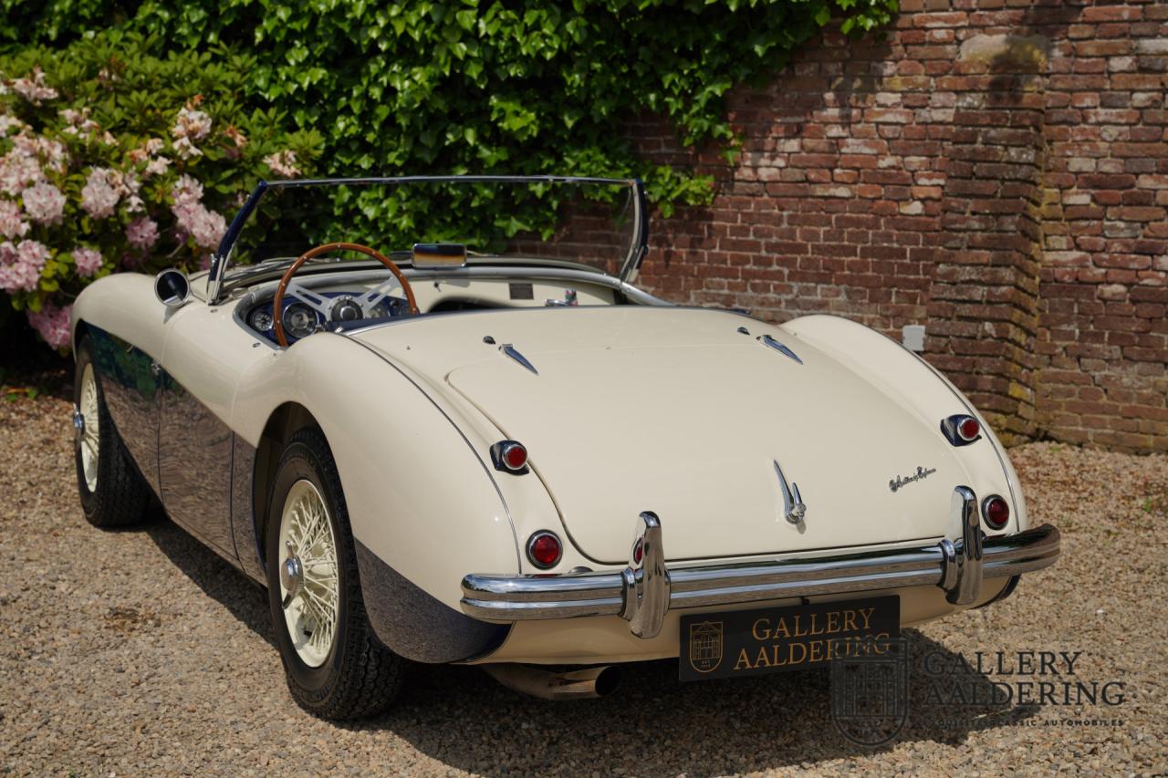 1954 Austin - Healey to 100M Specs &ldquo;Listed in 100M Le Mans Registry&rdquo;