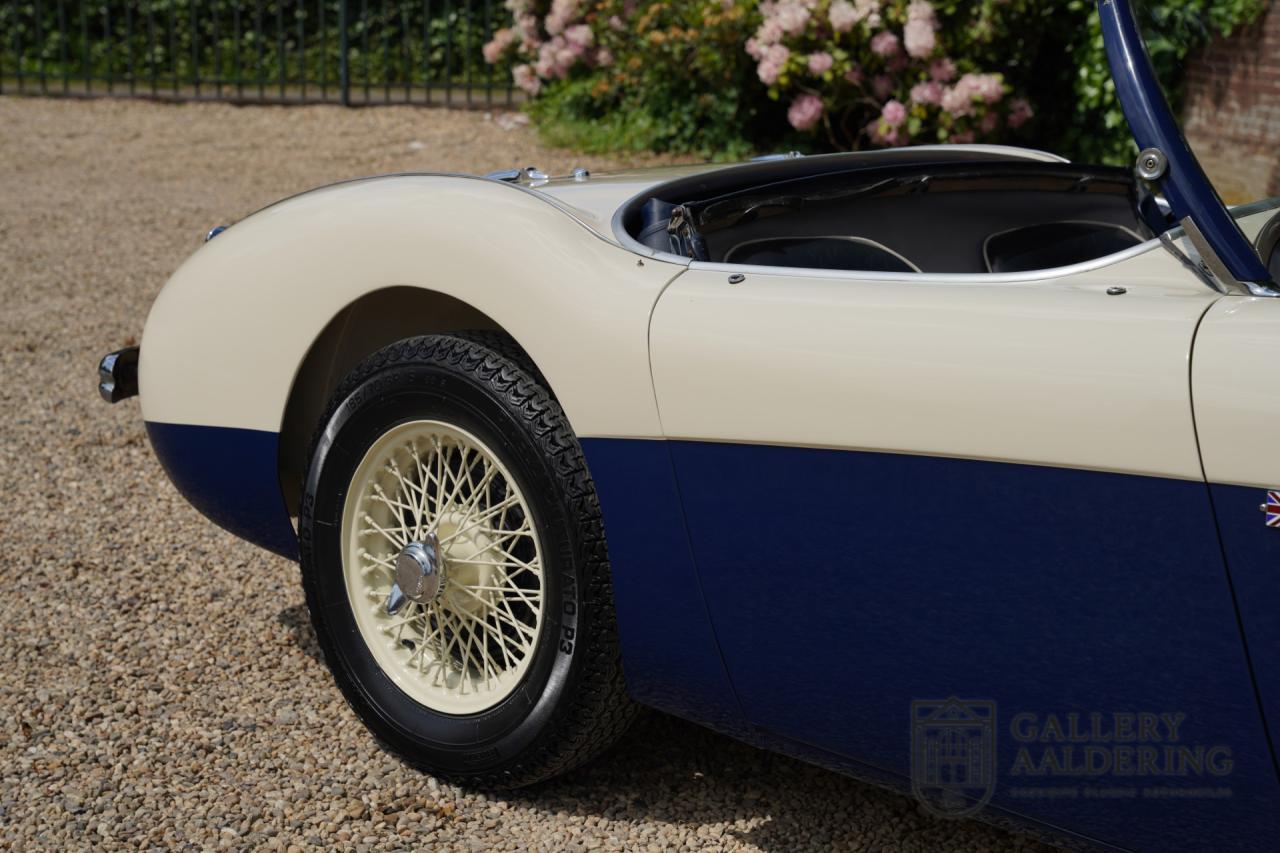 1954 Austin - Healey to 100M Specs &ldquo;Listed in 100M Le Mans Registry&rdquo;