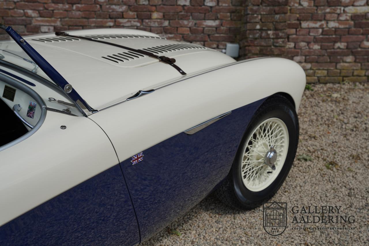 1954 Austin - Healey to 100M Specs &ldquo;Listed in 100M Le Mans Registry&rdquo;