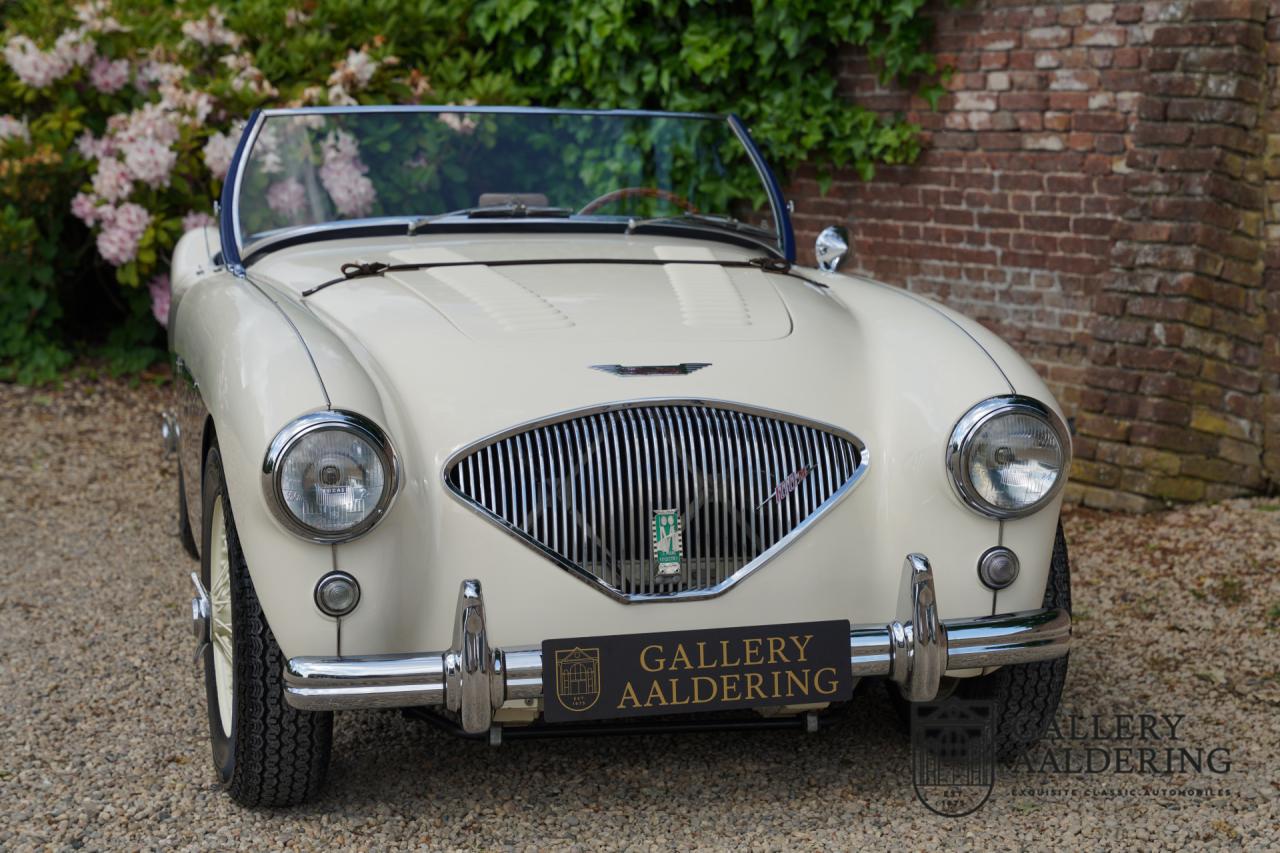 1954 Austin - Healey to 100M Specs &ldquo;Listed in 100M Le Mans Registry&rdquo;