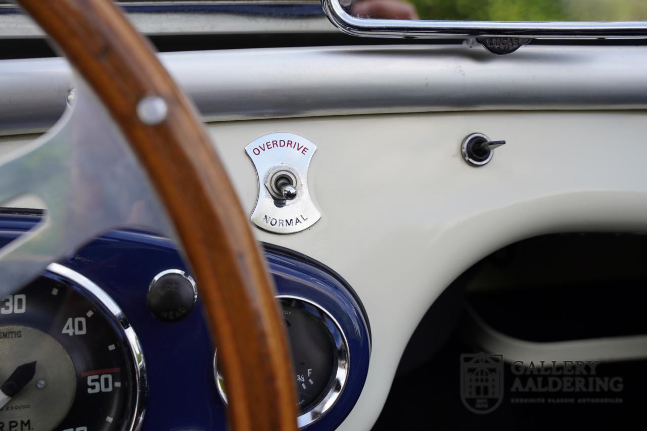 1954 Austin - Healey to 100M Specs &ldquo;Listed in 100M Le Mans Registry&rdquo;