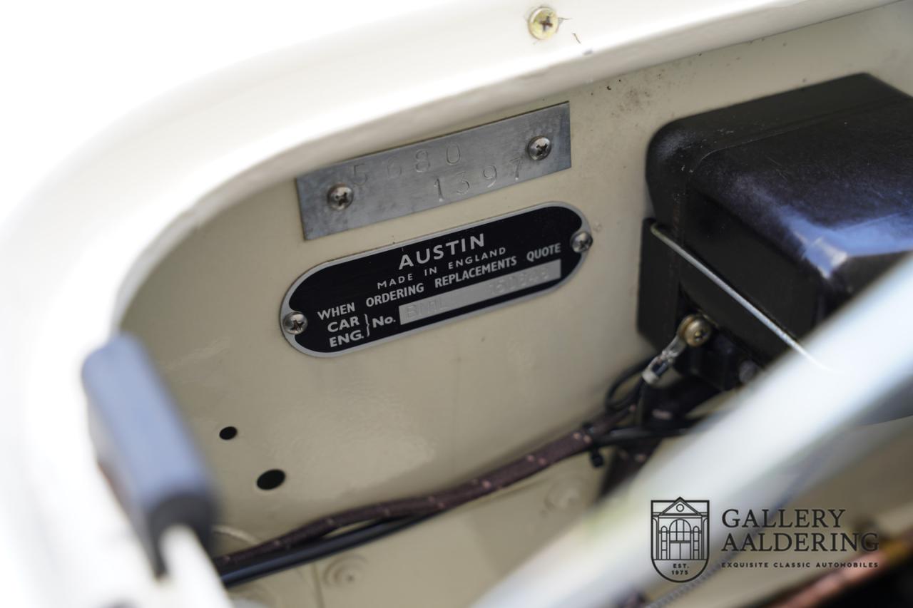 1954 Austin - Healey to 100M Specs &ldquo;Listed in 100M Le Mans Registry&rdquo;