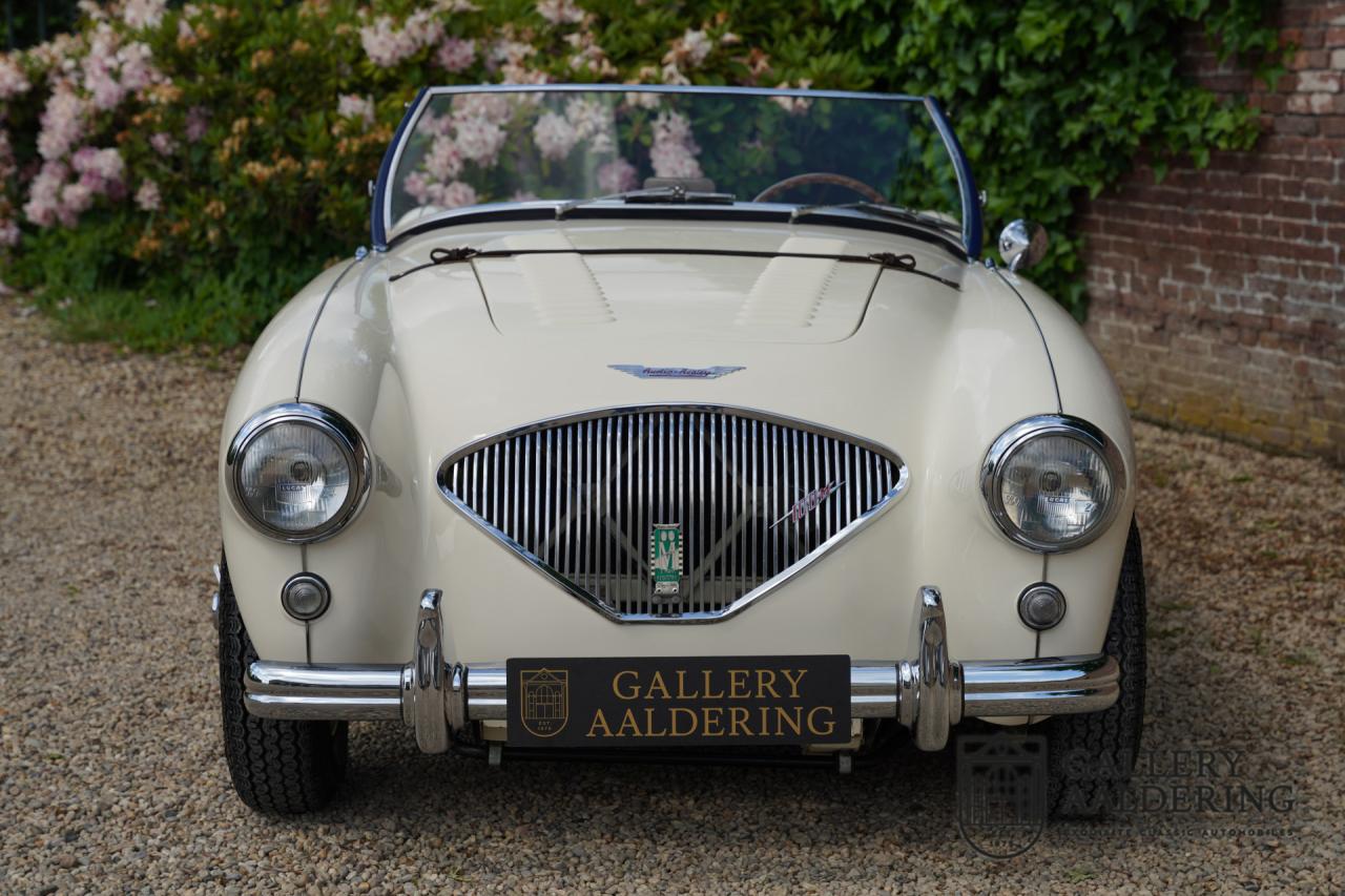 1954 Austin - Healey to 100M Specs &ldquo;Listed in 100M Le Mans Registry&rdquo;
