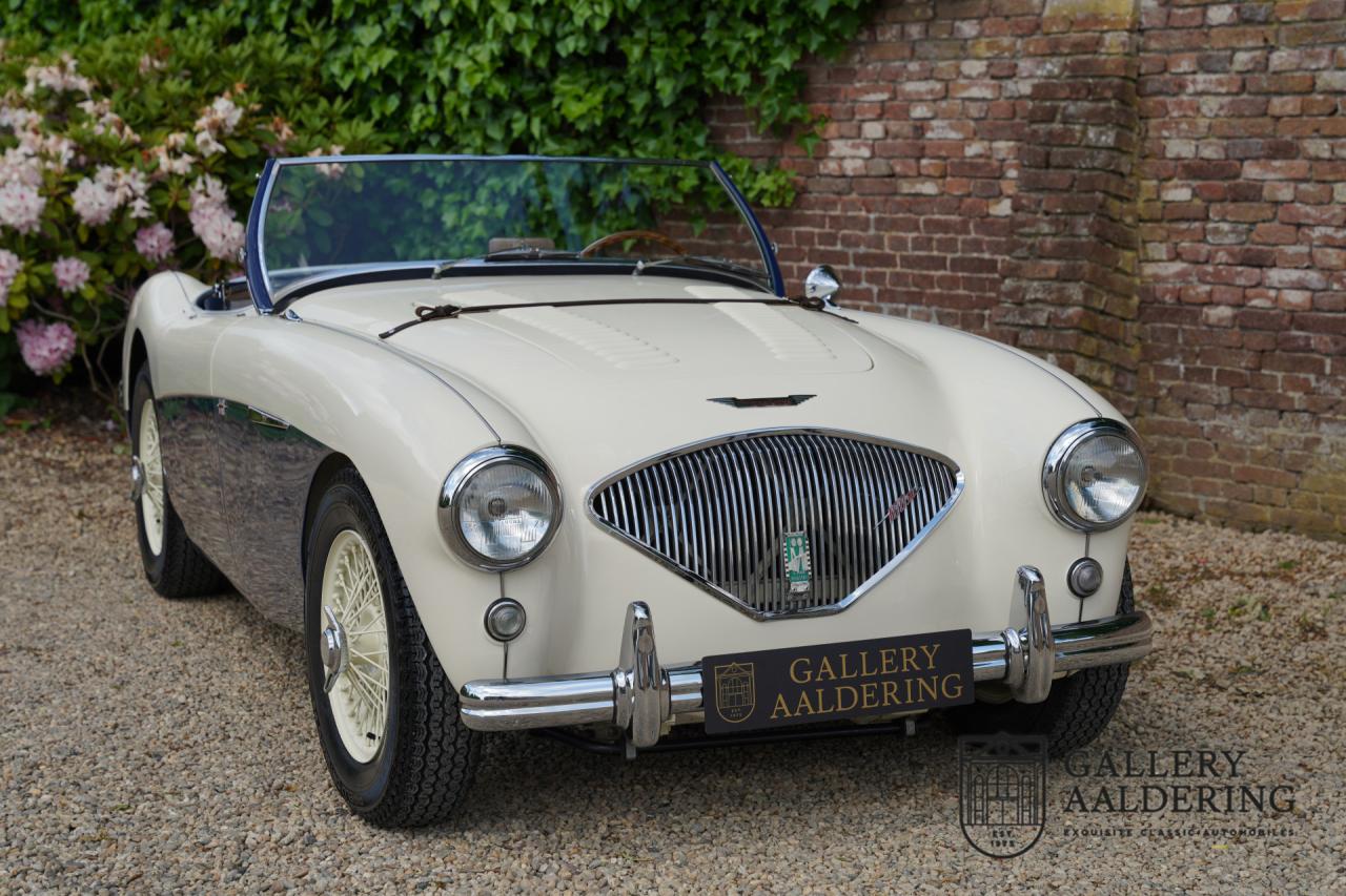 1954 Austin - Healey to 100M Specs &ldquo;Listed in 100M Le Mans Registry&rdquo;