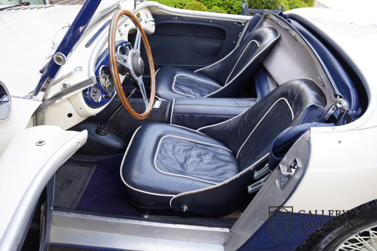 1954 Austin - Healey to 100M Specs &ldquo;Listed in 100M Le Mans Registry&rdquo;