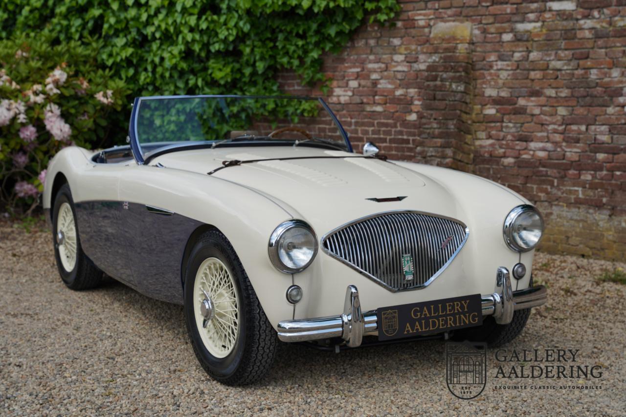 1954 Austin - Healey to 100M Specs &ldquo;Listed in 100M Le Mans Registry&rdquo;
