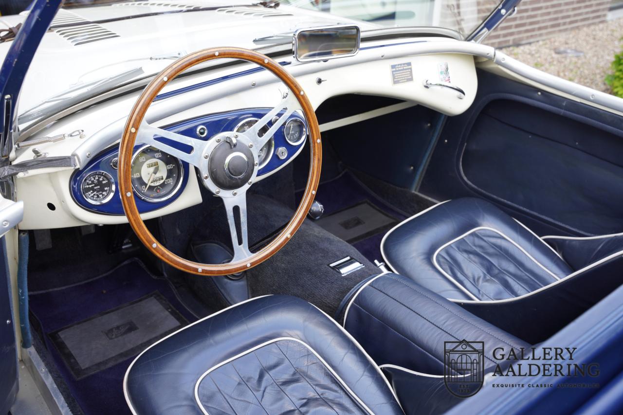 1954 Austin - Healey to 100M Specs &ldquo;Listed in 100M Le Mans Registry&rdquo;