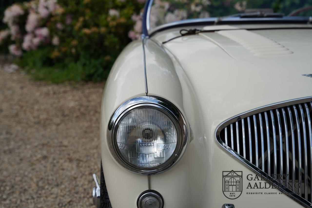 1954 Austin - Healey to 100M Specs &ldquo;Listed in 100M Le Mans Registry&rdquo;