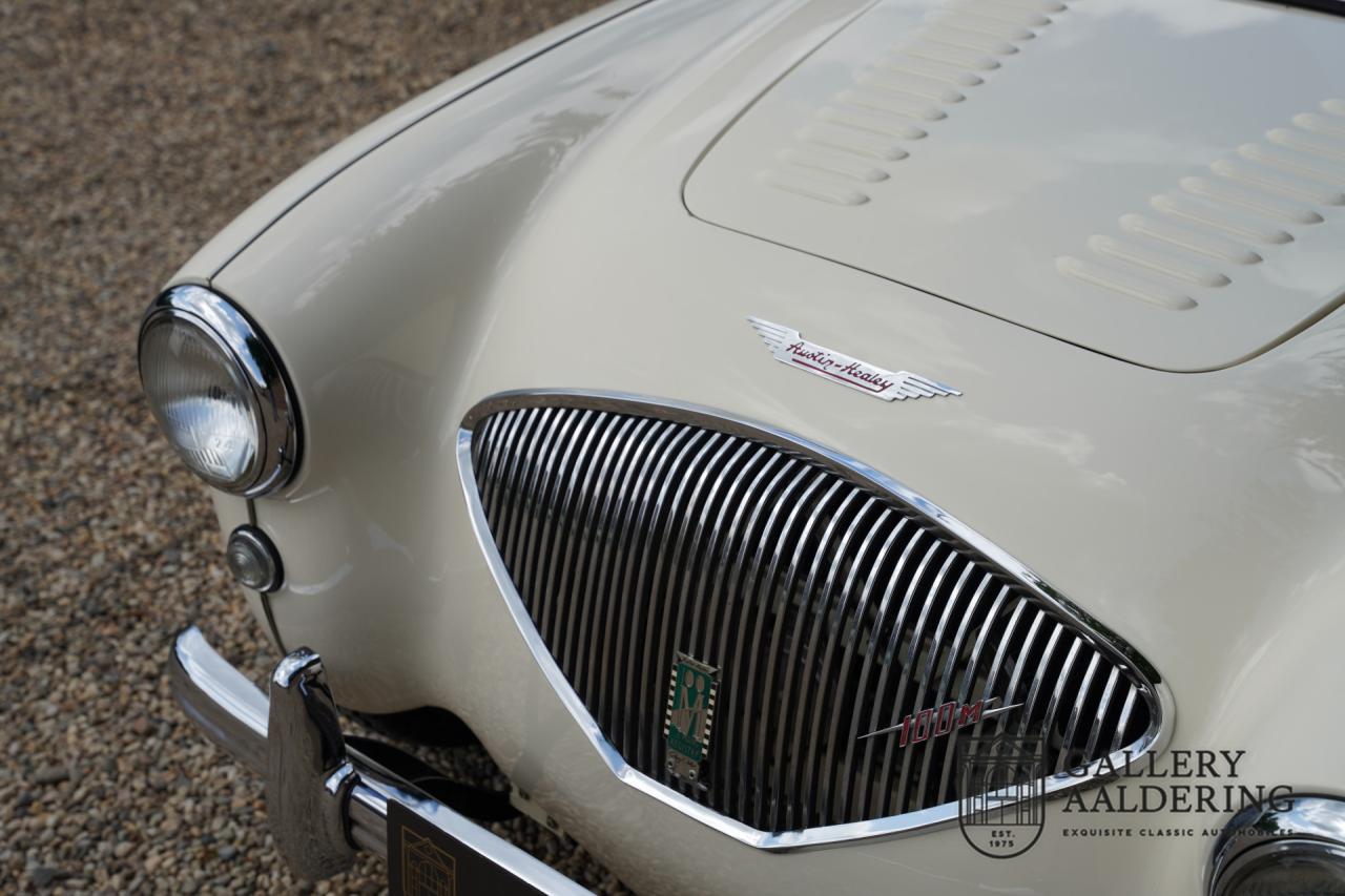 1954 Austin - Healey to 100M Specs &ldquo;Listed in 100M Le Mans Registry&rdquo;