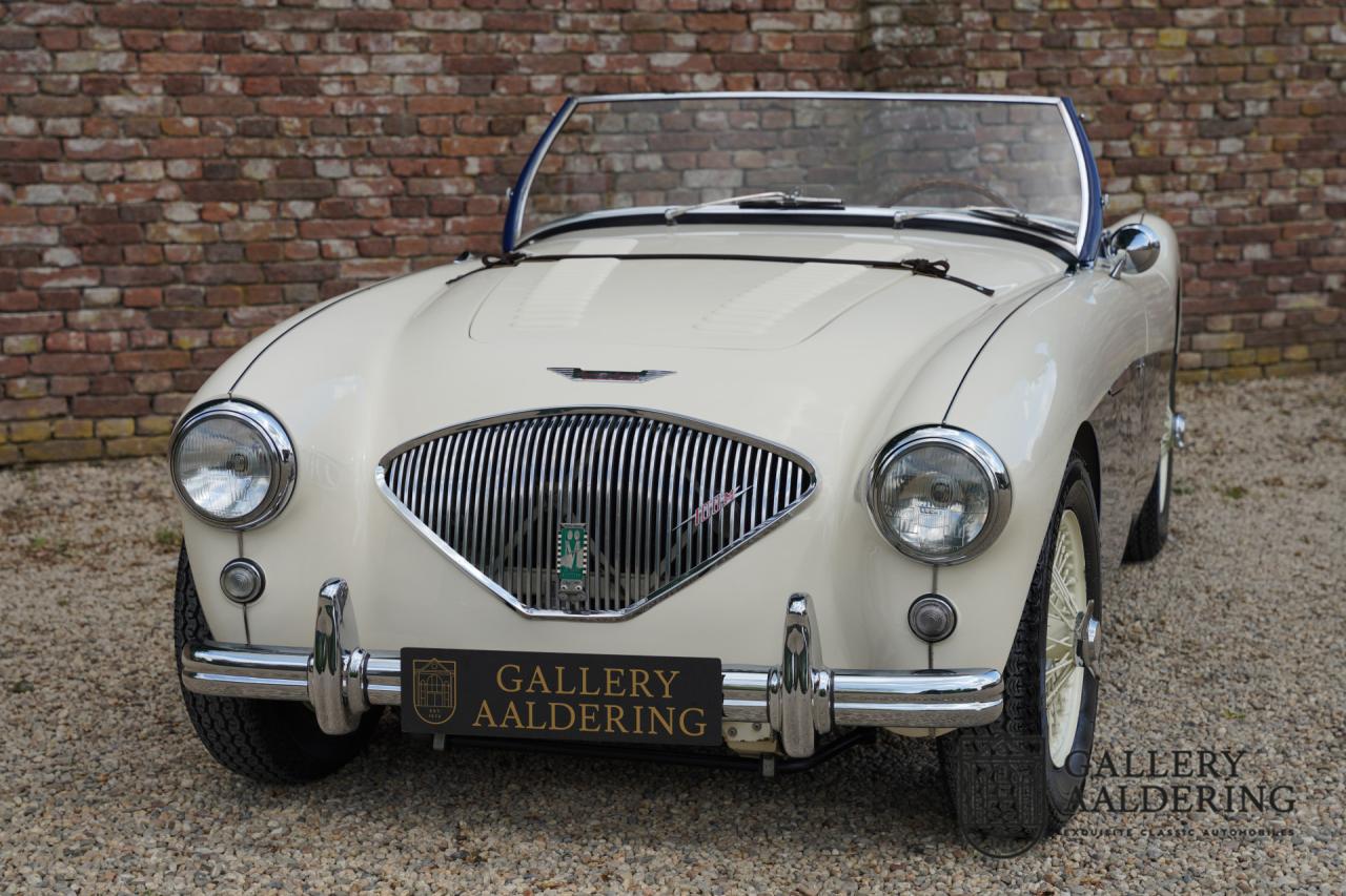 1954 Austin - Healey to 100M Specs &ldquo;Listed in 100M Le Mans Registry&rdquo;